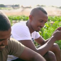 שני אתיופים בשדה