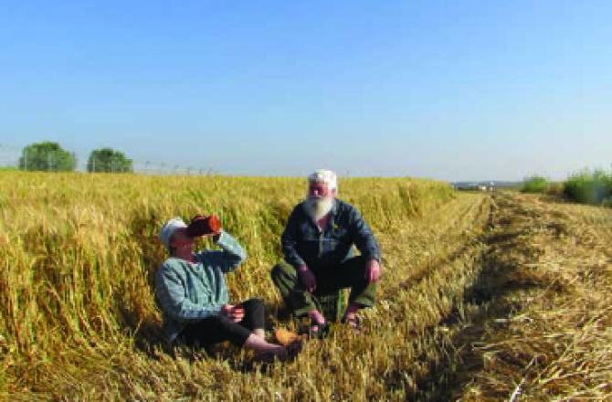 תערוכת בוגרות 2015